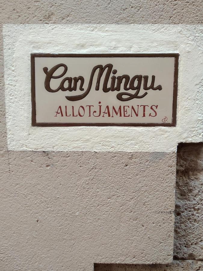 Apartament Can Mingu 2On Pis เบซาลู ภายนอก รูปภาพ